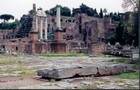 Roman Forum (il Foro romano)