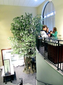 Museum Balcony and Money Tree