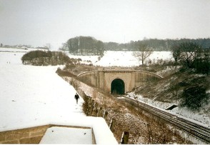 Box Hill Tunnel Entrance and Landscape