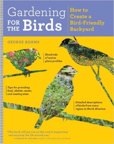 Create a Bird Friendly Yard