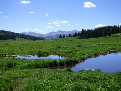 Vail Pass Landscape with Beaver Ponds