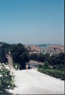 View of Florence and the Arno River