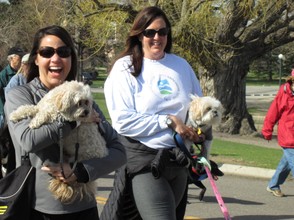 Happy People and Their Dogs