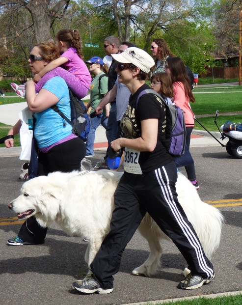Who knows what this white dog is? Answer in the comments if you know Who knows what this white dog is? Answer in the comments if you know