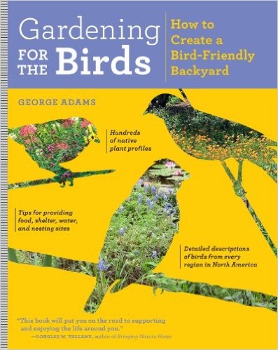 Create a Bird Friendly Yard Create a Bird Friendly Yard