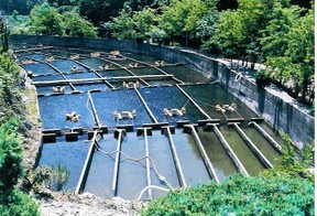 Creative Commons Attribution-ShareAlike 3.0